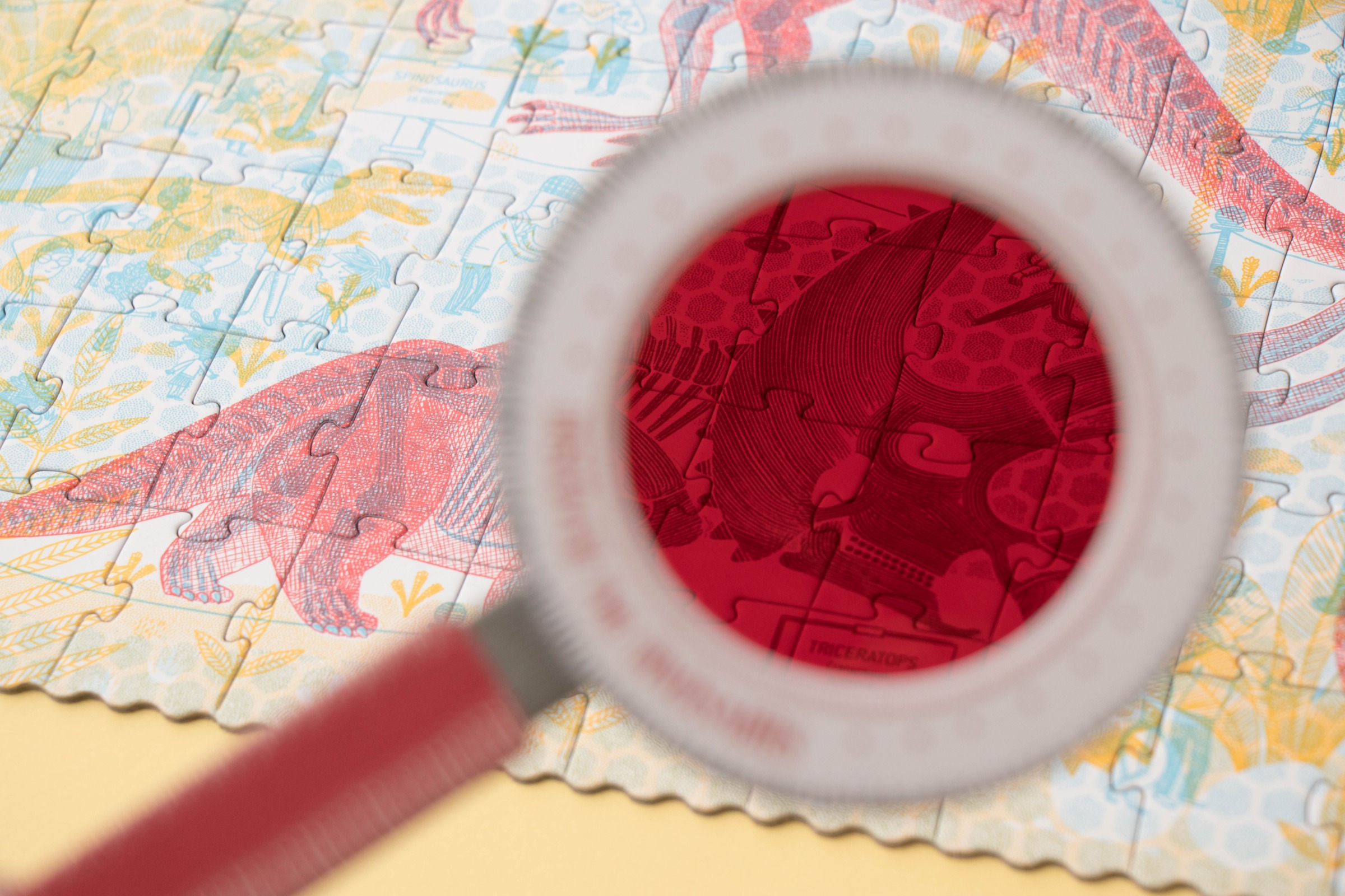 DISCOVER THE DINOSAURS Puzzle