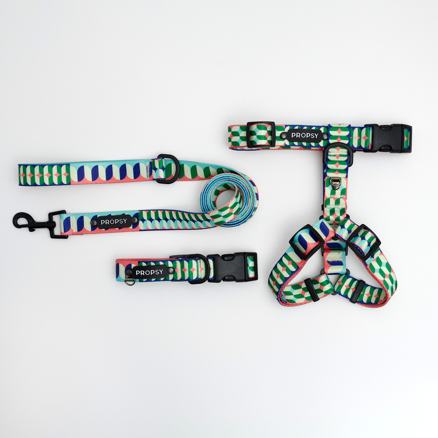 Halsband mit Schnalle - It's kind of bougie