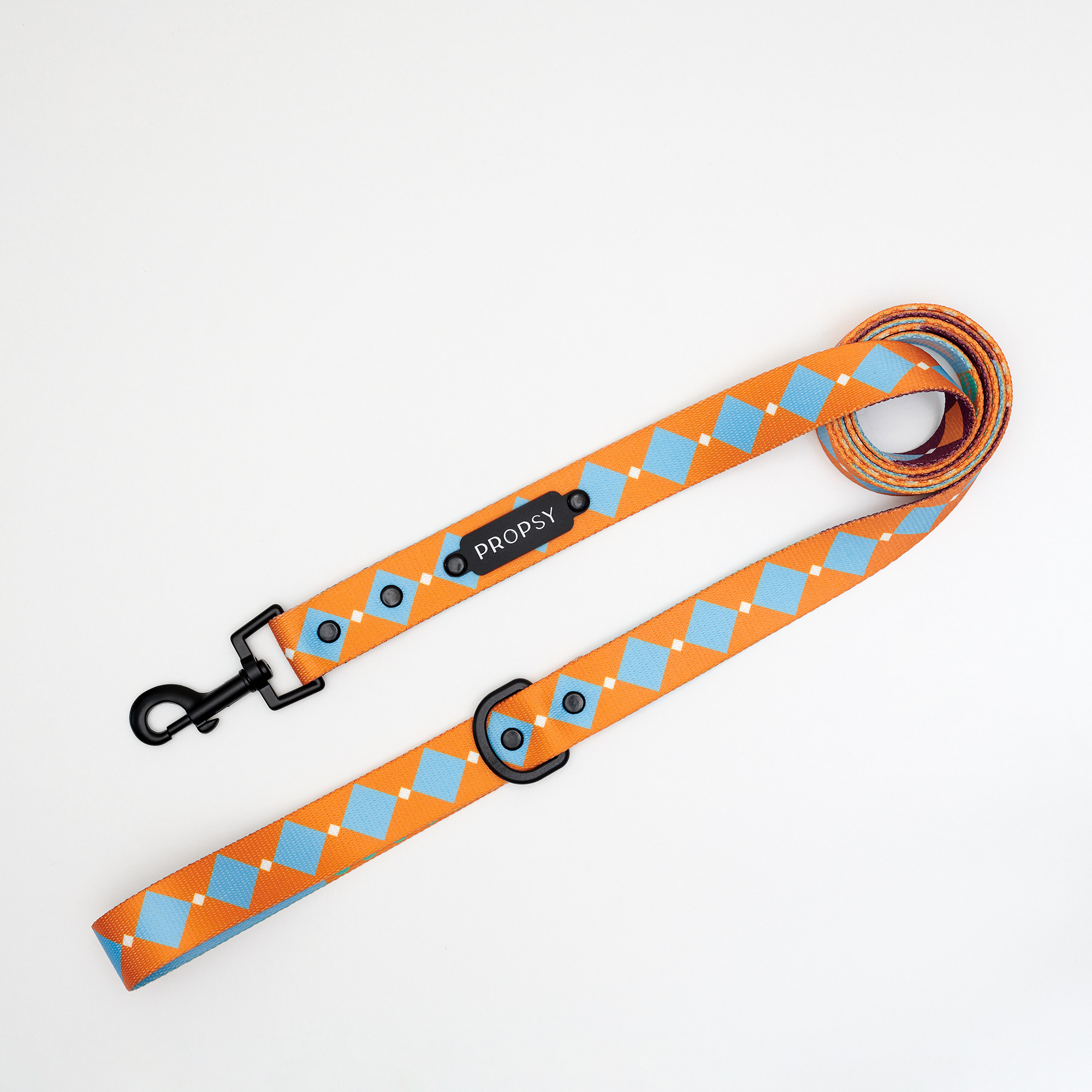 Stadtleine - Retro Pooch