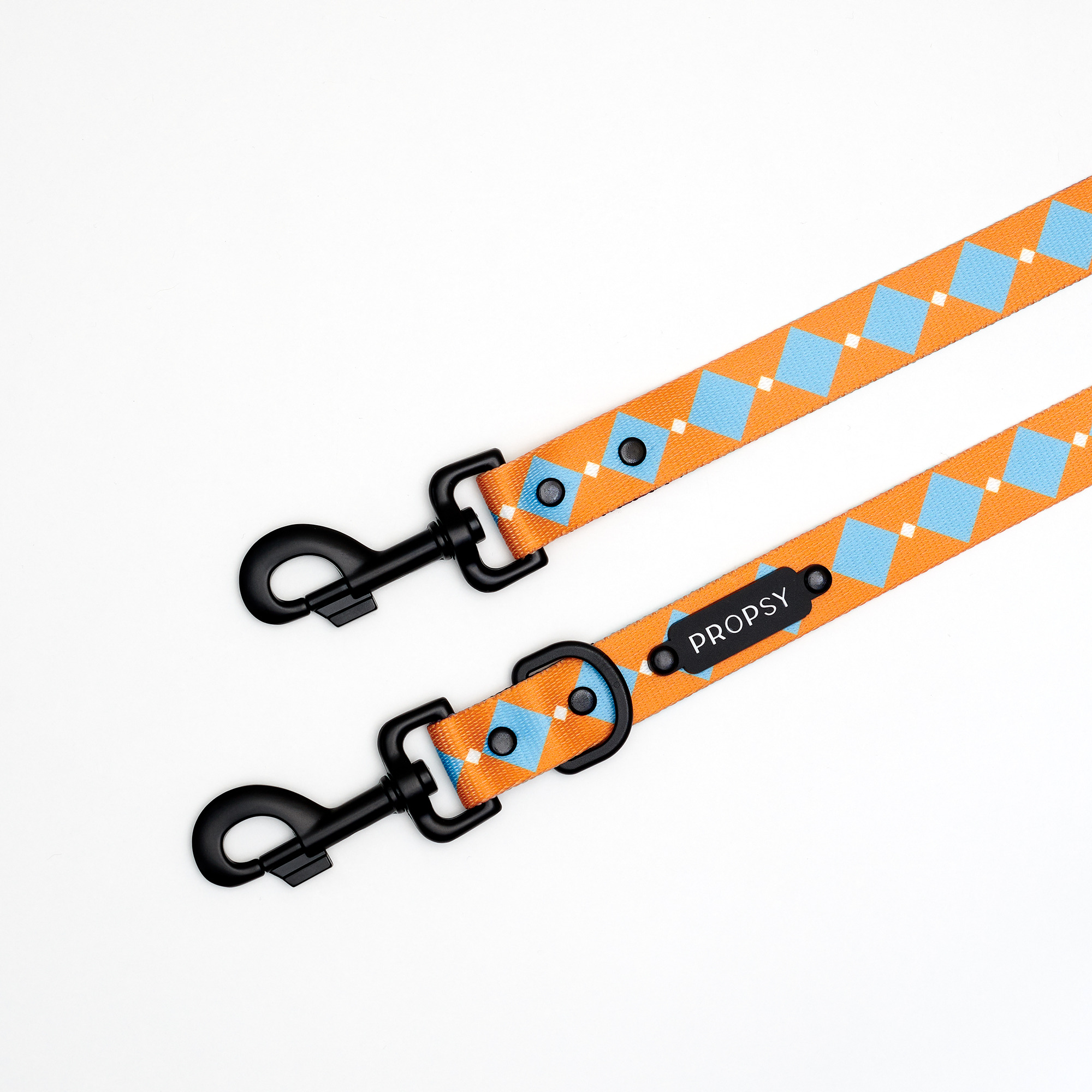 Verstellbare Leine - Retro Pooch