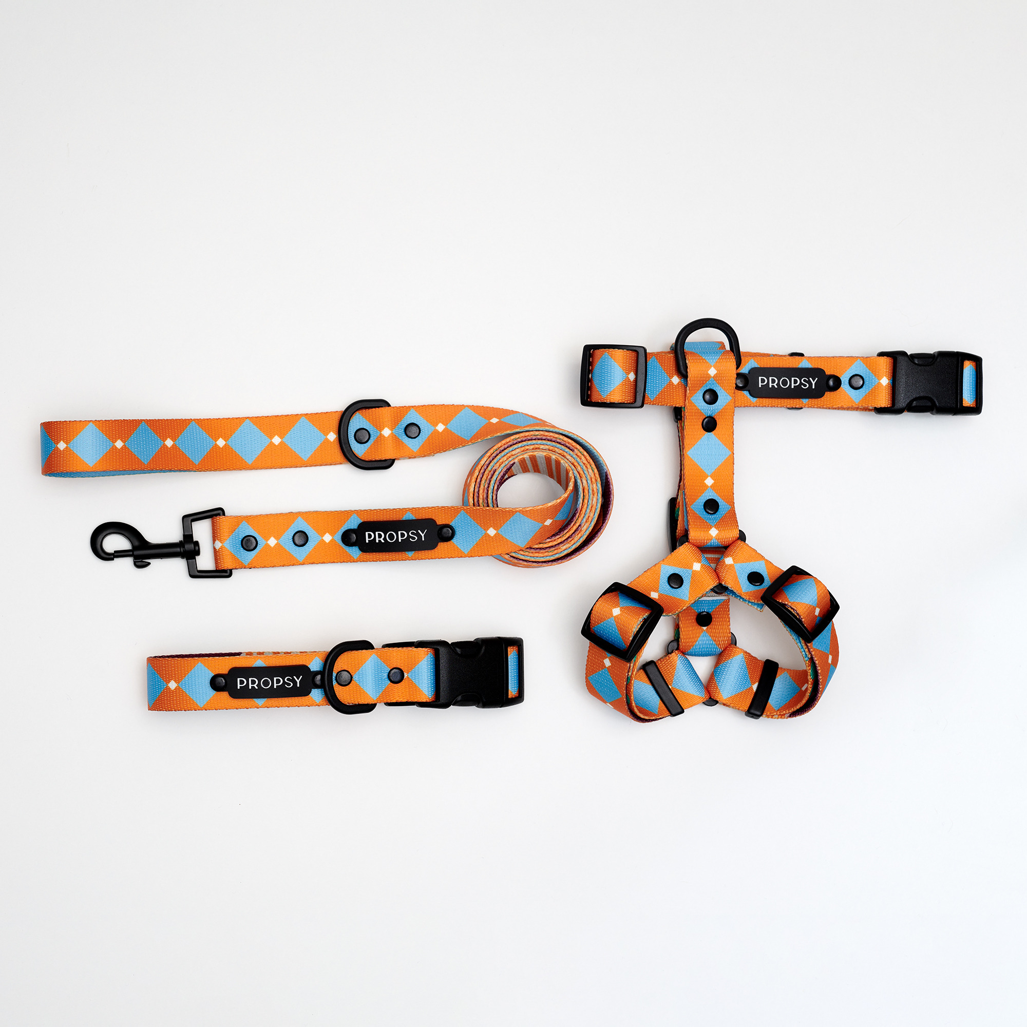 Halsband mit Schnalle - Retro Pooch