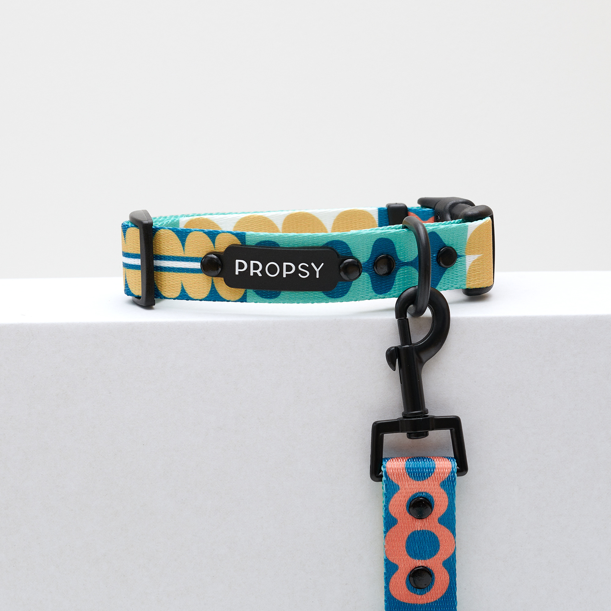 Halsband mit Schnalle - Dooggie Woogie
