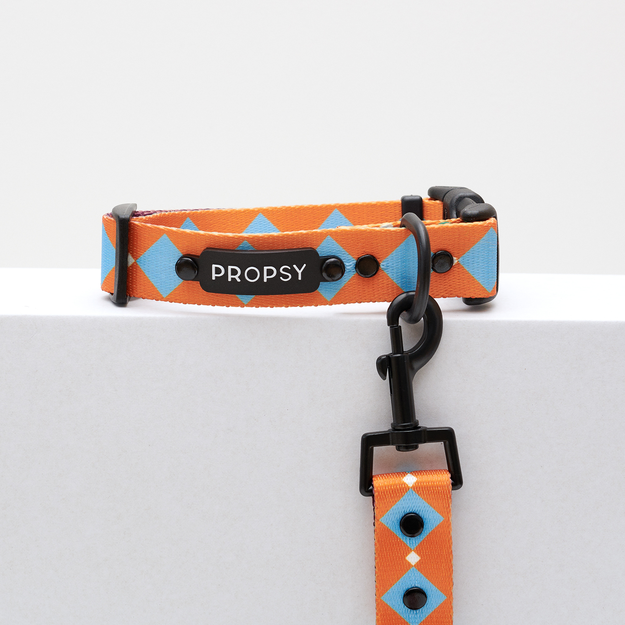 Halsband mit Schnalle - Retro Pooch