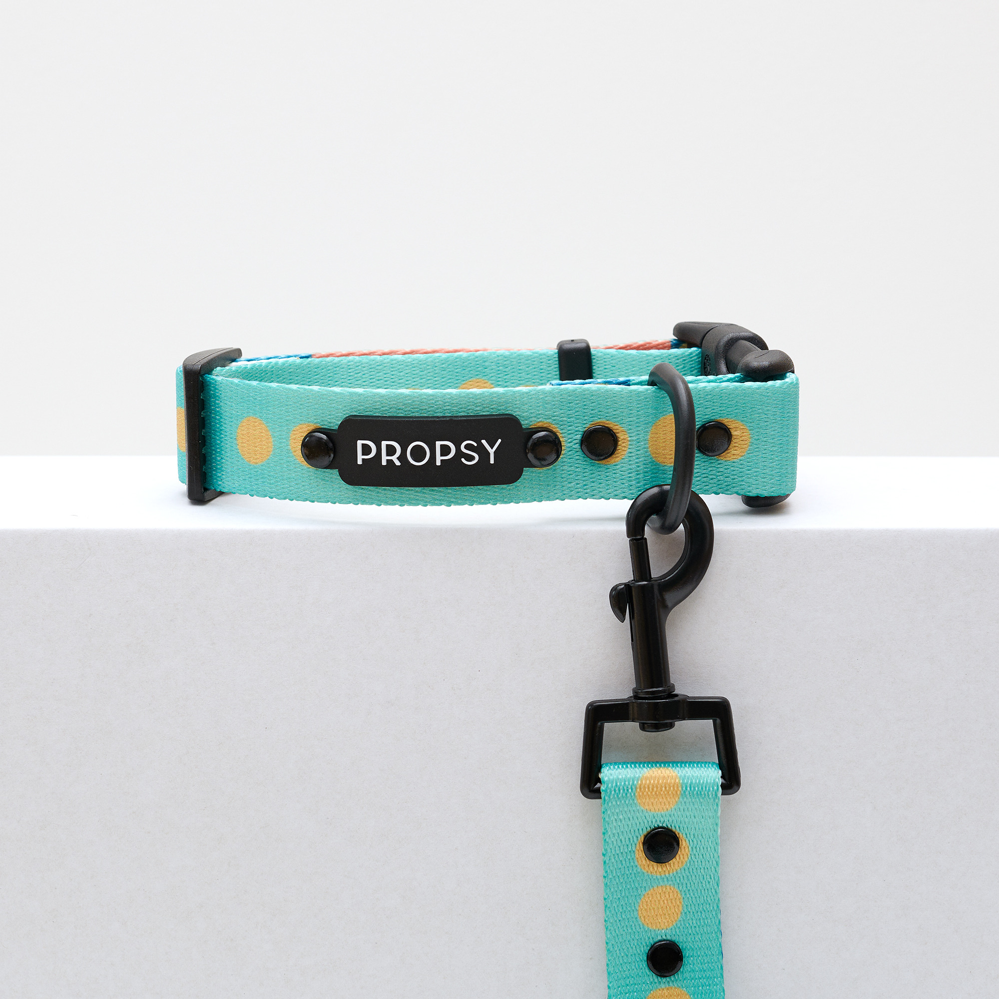 Halsband mit Schnalle - Basic Bloop